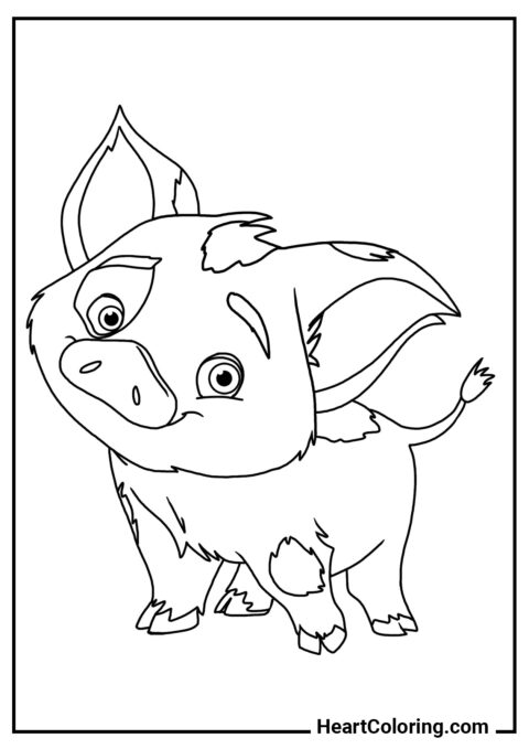 Porc Pua - Coloriages de Vaiana