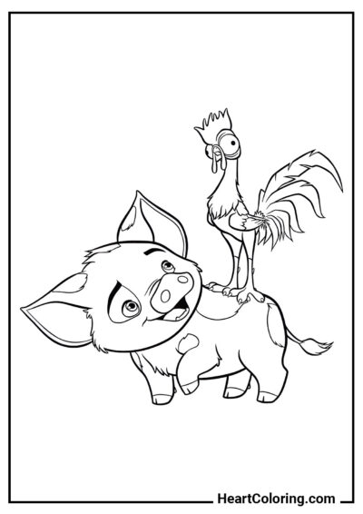 Pua e Hei Hei - Desenhos de Moana para Colorir