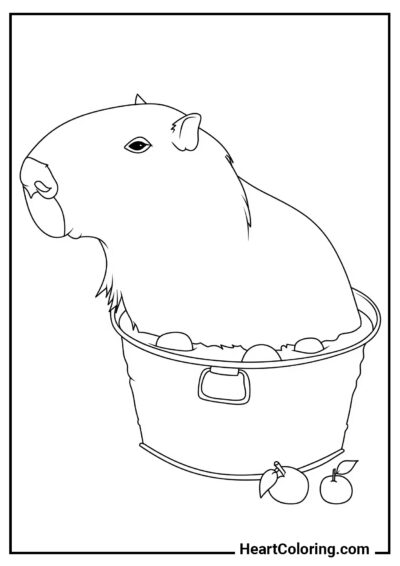 Capybara in a Washbasin - Capybara Coloring Pages