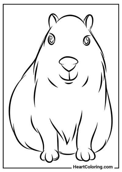 Cute Capybara - Capybara Coloring Pages