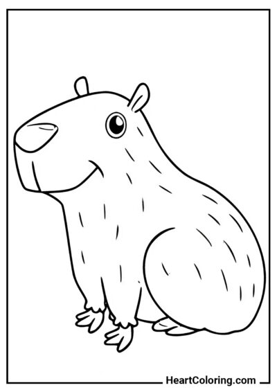 Smiling Capybara - Capybara Coloring Pages