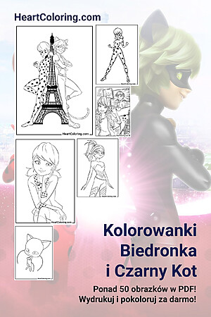 Kolorowanki Biedronka i Czarny Kot